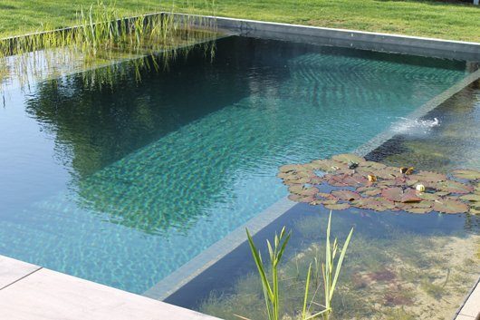 Grundlagen Wasseraufbereitung Schwimmteich