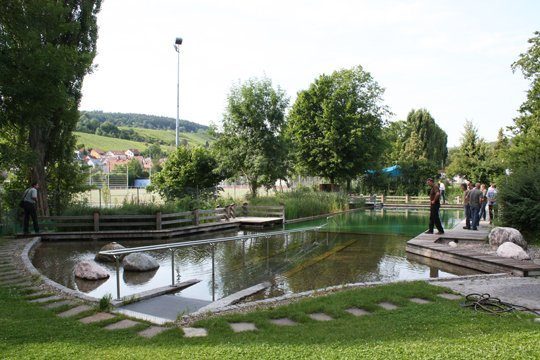 Schwimmteich Alter Einstieg Rampe