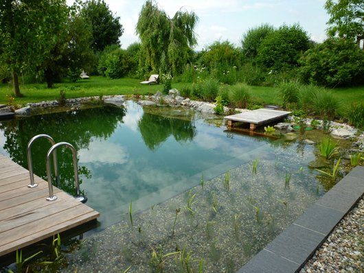 Wasseraufbereitung Schwimmteich Naturpools Wasserpflanzen