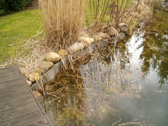 Schwimmteich Schwimmteich Naturpool Sanierung SwissBioPool