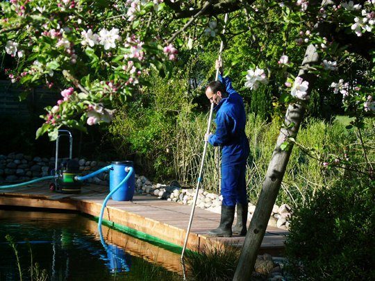 Schwimmteich Naturpools Teichpflege Teichreinigung