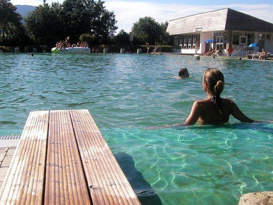 Schwimmteiche Naturpools DGfnB Nitrolimit