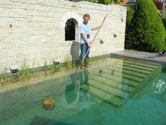 Den Naturpool im Sommer reinigen