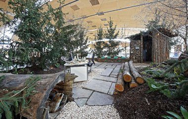 Showgarten des Jahres von Roland Mockler aus Weingarten. Foto: Messe Karlsruhe