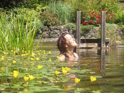 Handbuch Wasserpflanzen Schwimmteich