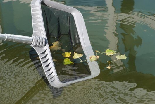 Der Profikescher der Teichitekten reinigt Wasseroberflächen von Naturpools. Foto: Teichitekten