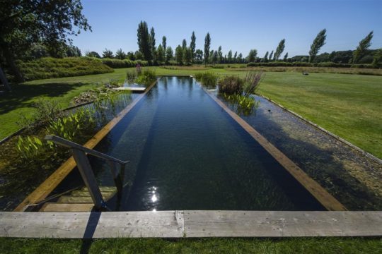 Ein als "Design-Froschkönig 2014" ausgezeichneter "Living-Pool". Foto: Biotop Landschaftsgestaltung
