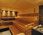 Biosauna