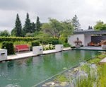 Wasserspeier im Naturpool