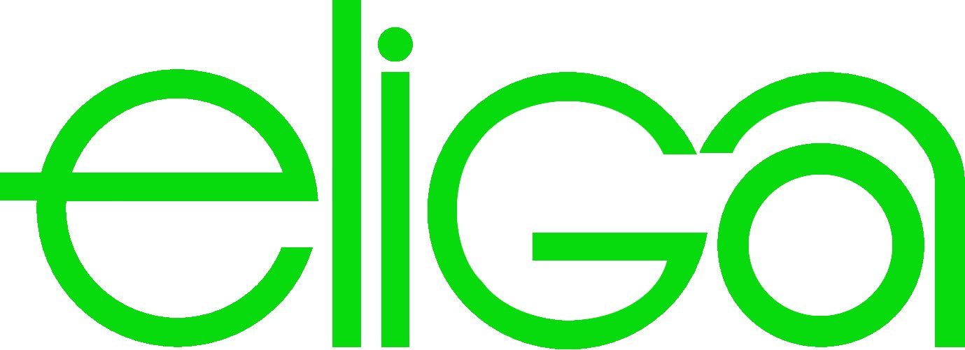 Elsässer GmbH Logo eliga