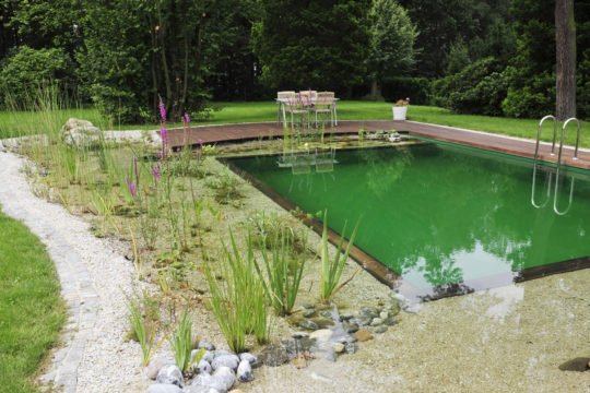 Re-Natur Garten und Landschaftsgestaltung