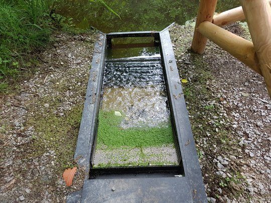 Schwimmteich Naturpool Skimmer OISkim Wasserlinsen Entengrütze Oismüller