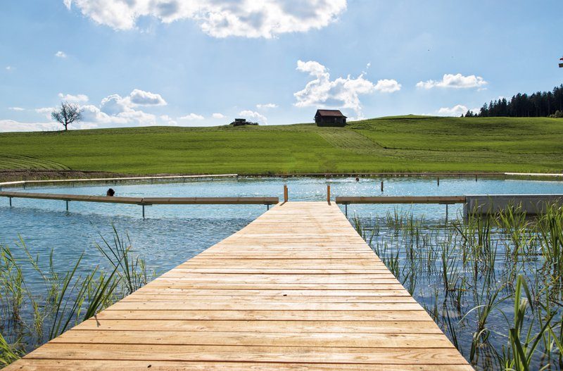 Wellnesshotel Pool Schwimmteich Naturpools Außensauna