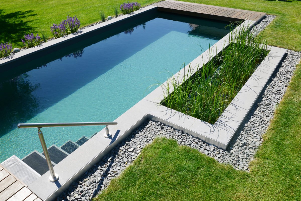 Naturpool im Garten Besser spät als nie schwimmbad.de