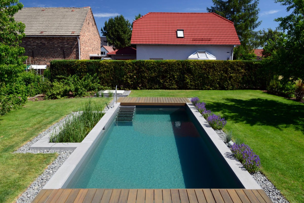 Naturpool im Garten Besser spät als nie schwimmbad.de