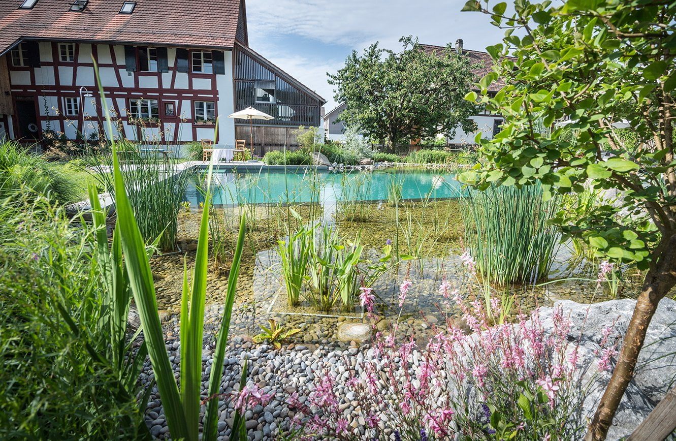 Naturpool Baden wie in einem See schwimmbad.de