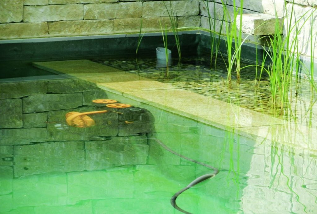 Naturpool bauen_Poolroboter in Aktion