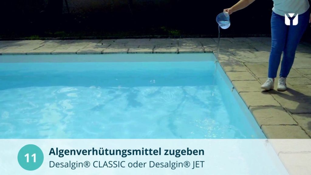 Grünes Poolwasser Algen im Pool Algenverhütungsmittel