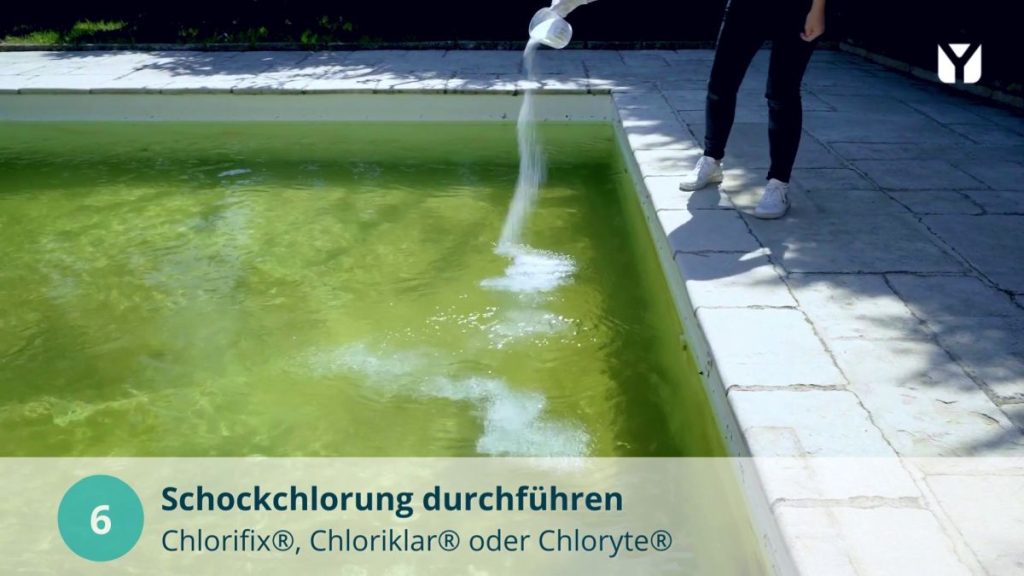 Grünes Poolwasser Algen im Pool Schockchlorung