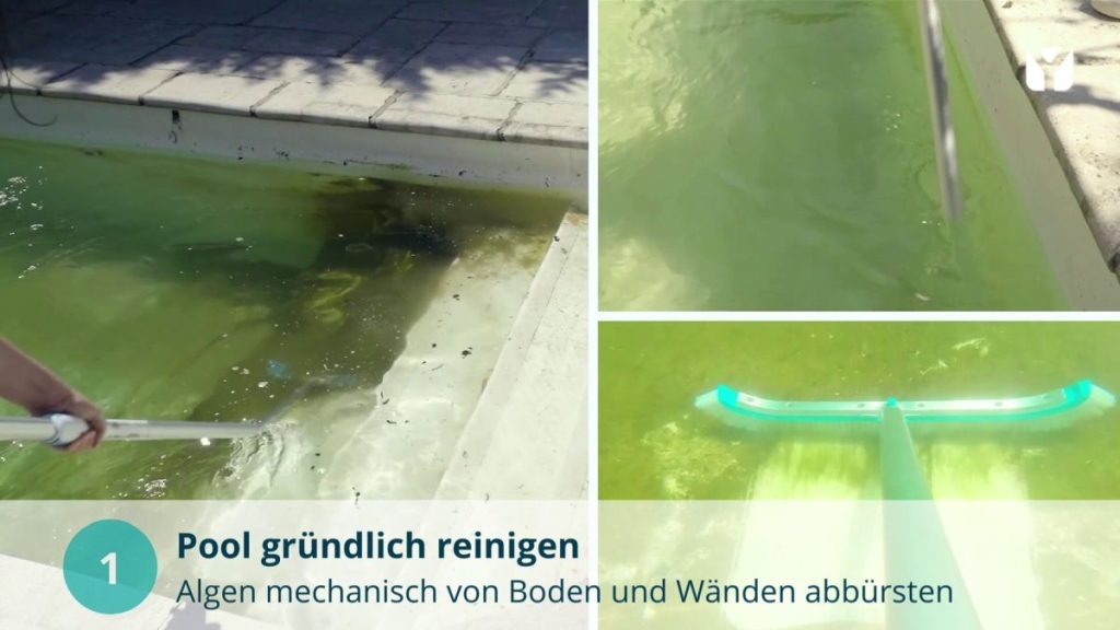 Grünes Poolwasser Algen im Pool gründlich reinigen